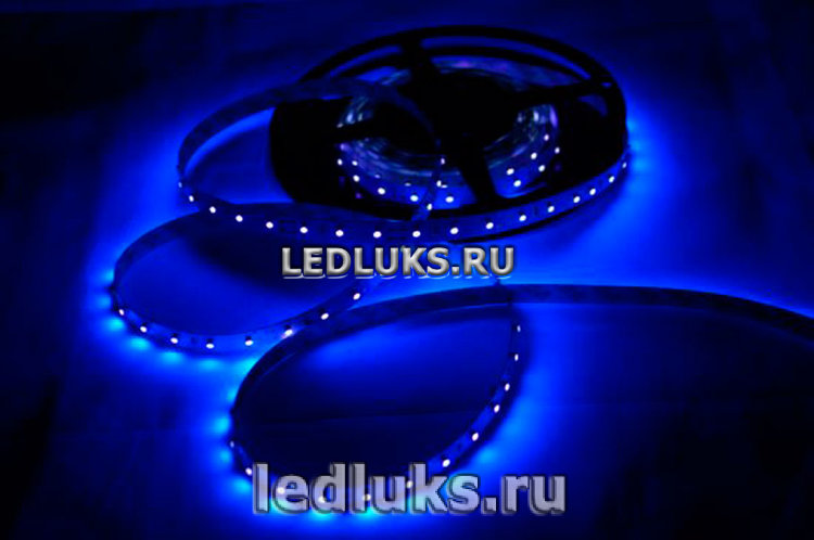 Светодиодная лента 3528-60D-4.8W Синий